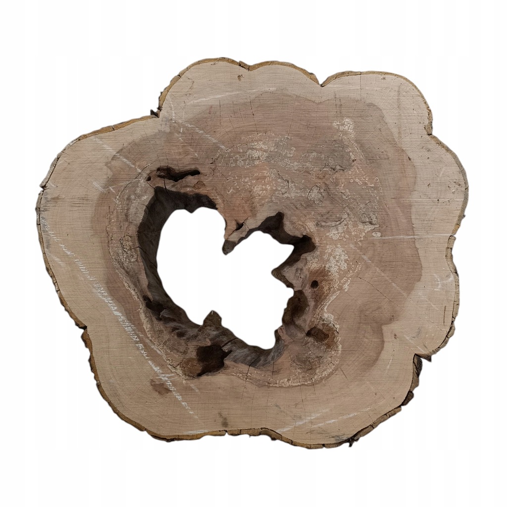 Plaster drewna Jabłoń wymiary 45cm x 50cm x 9cm jabłoni