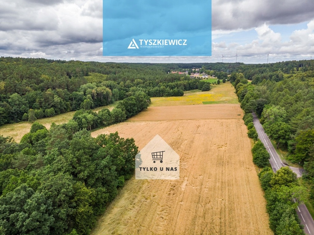 Działka, Tadzino, Gniewino (gm.), 24100 m²