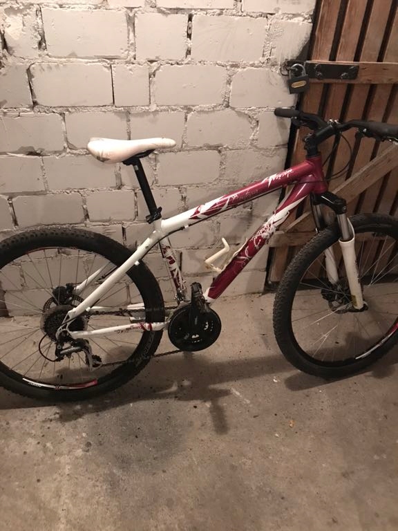 Scott Contessa 55 8490707401 oficjalne archiwum Allegro