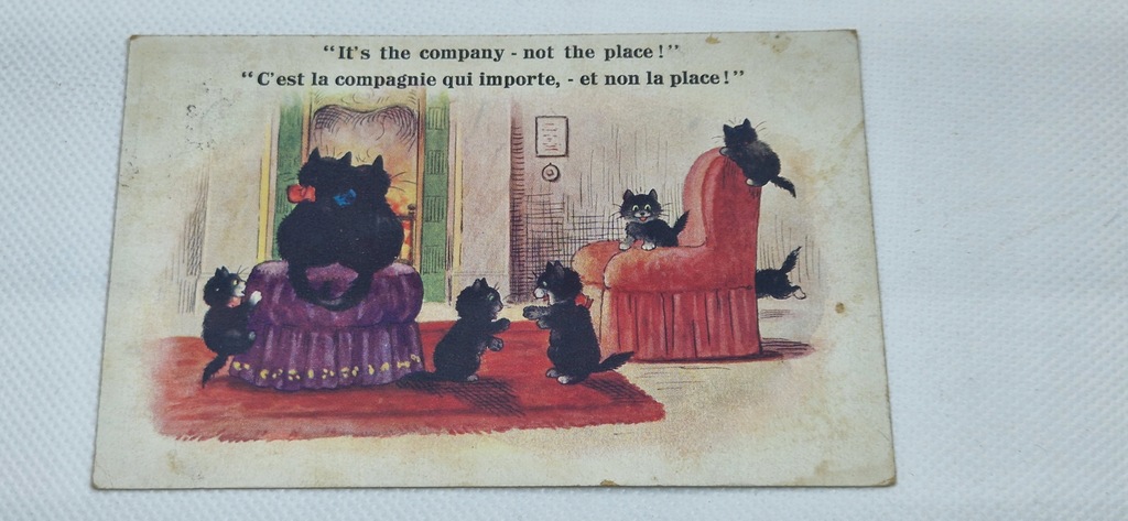 KOTY PRZEDWOJENNA POCZTÓWKA Z 1928