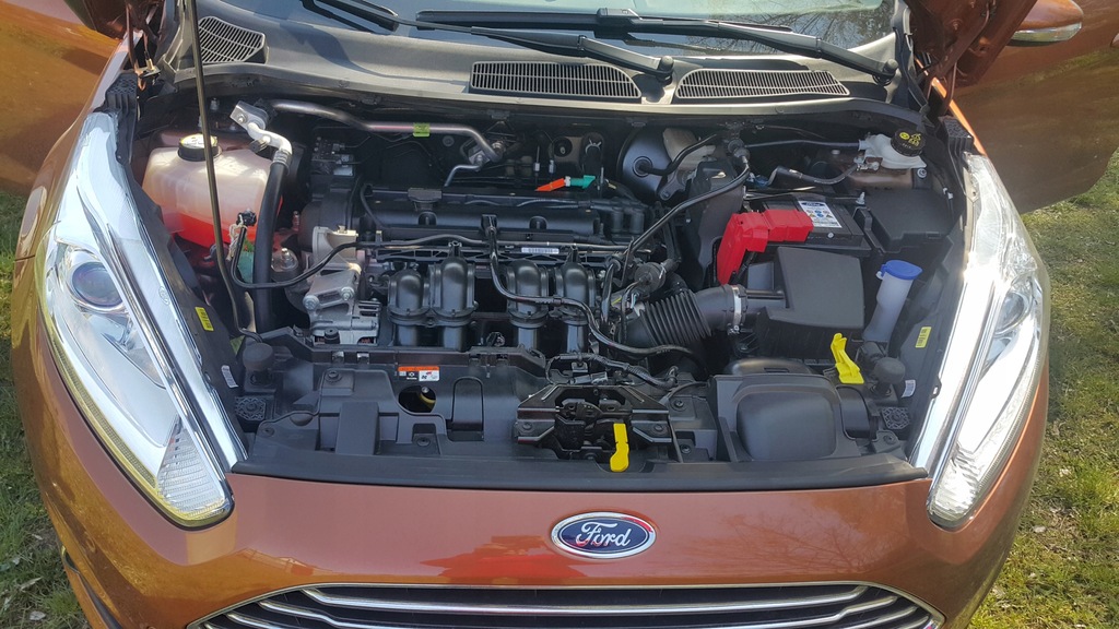 FORD Fiesta 1,4 benzyna 96KM M5 Titanium stan igła