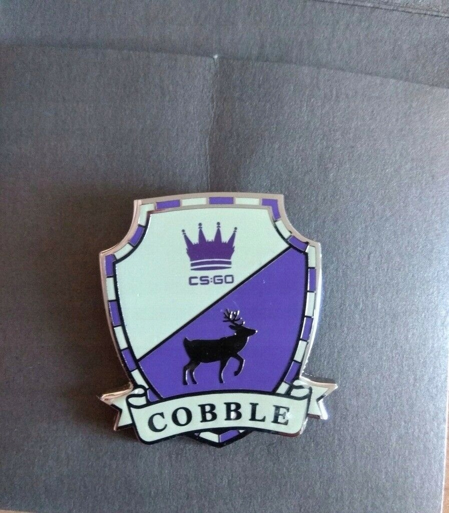 CS:GO PIN ORYGINALNY COBBLESTONE IEM KATOWICE