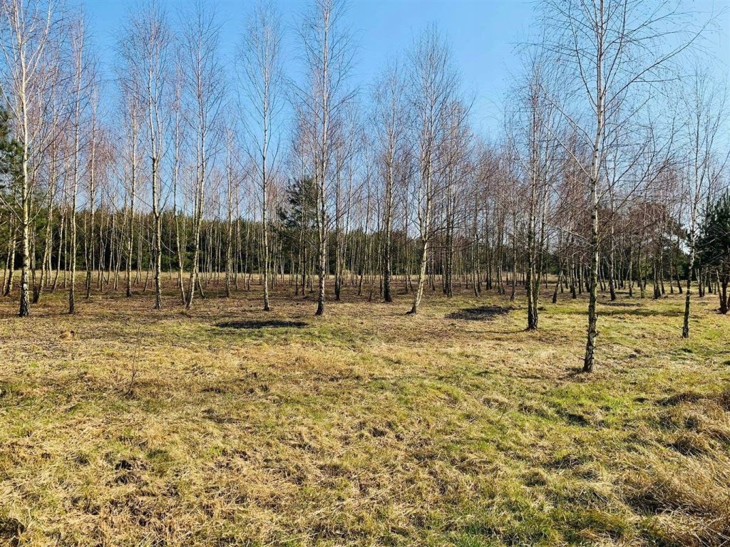 Działka, Sokolniki, Ozorków (gm.), 1140 m²