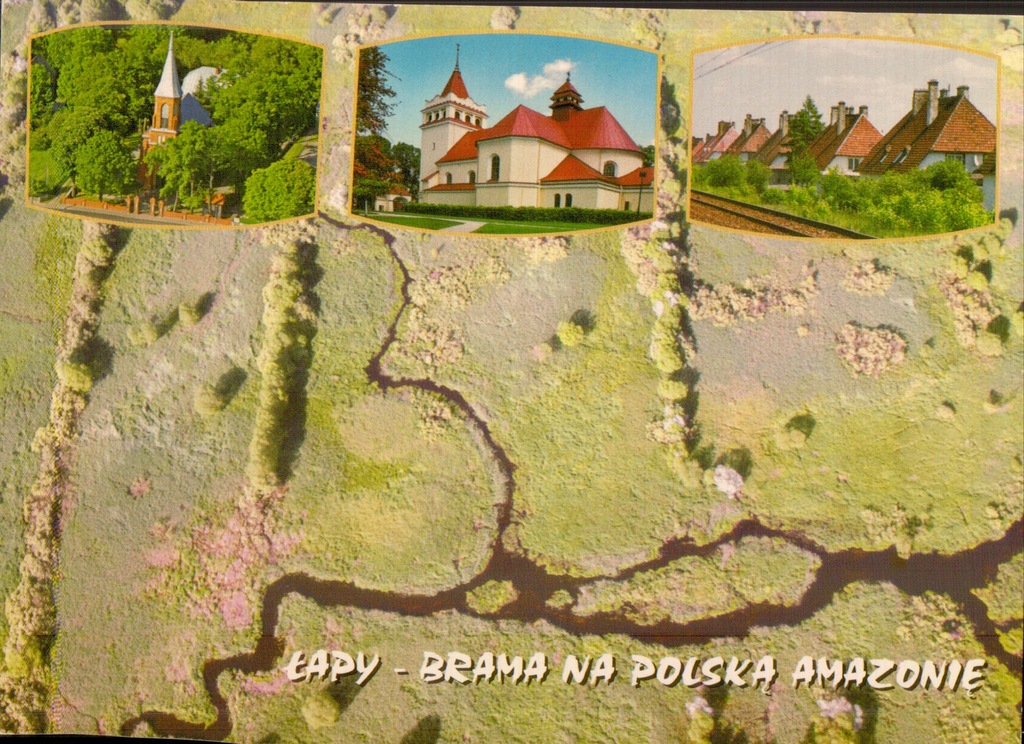 Łapy Brama na Polska Amazonię