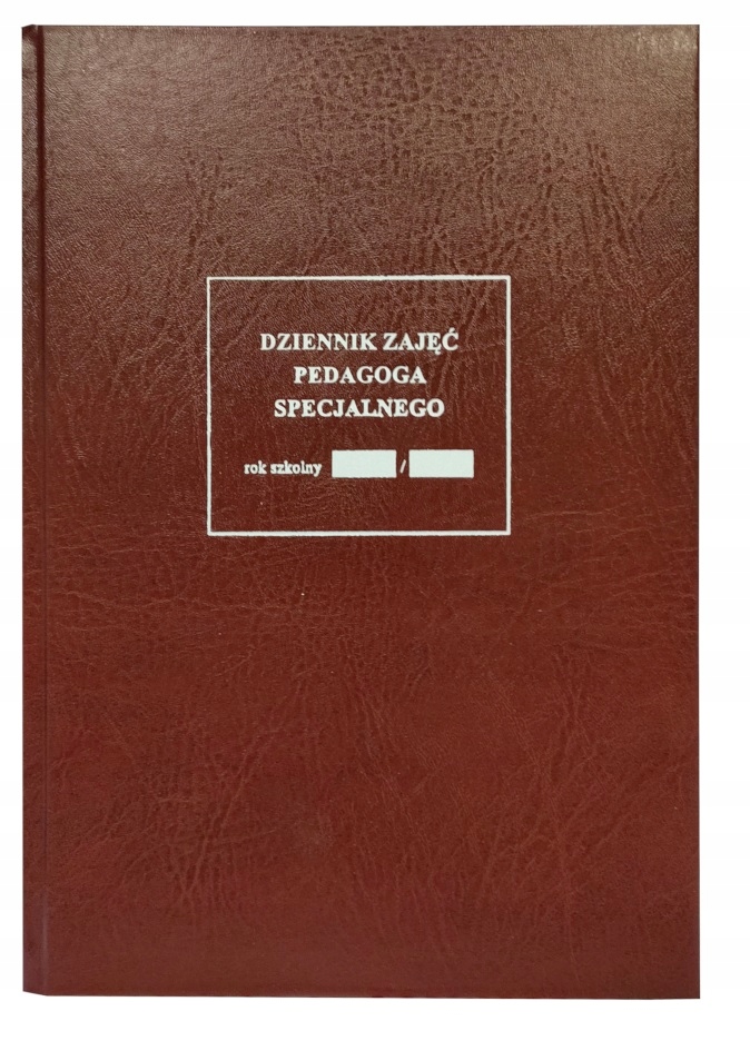 Dziennik zajęć pedagoga specjalnego