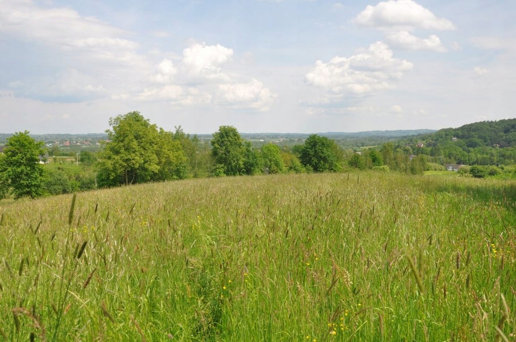 Działka Gdów, wielicki, 1348,00 m²