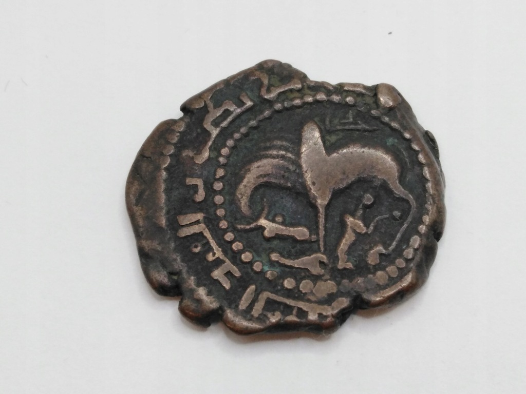 Moneta dirham 1186-1187 Begtymurydzi