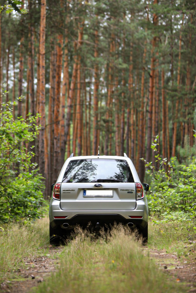 Купить SUBARU FORESTER 4x4 F-ват 23%, самая богатая версия,: отзывы, фото, характеристики в интерне-магазине Aredi.ru