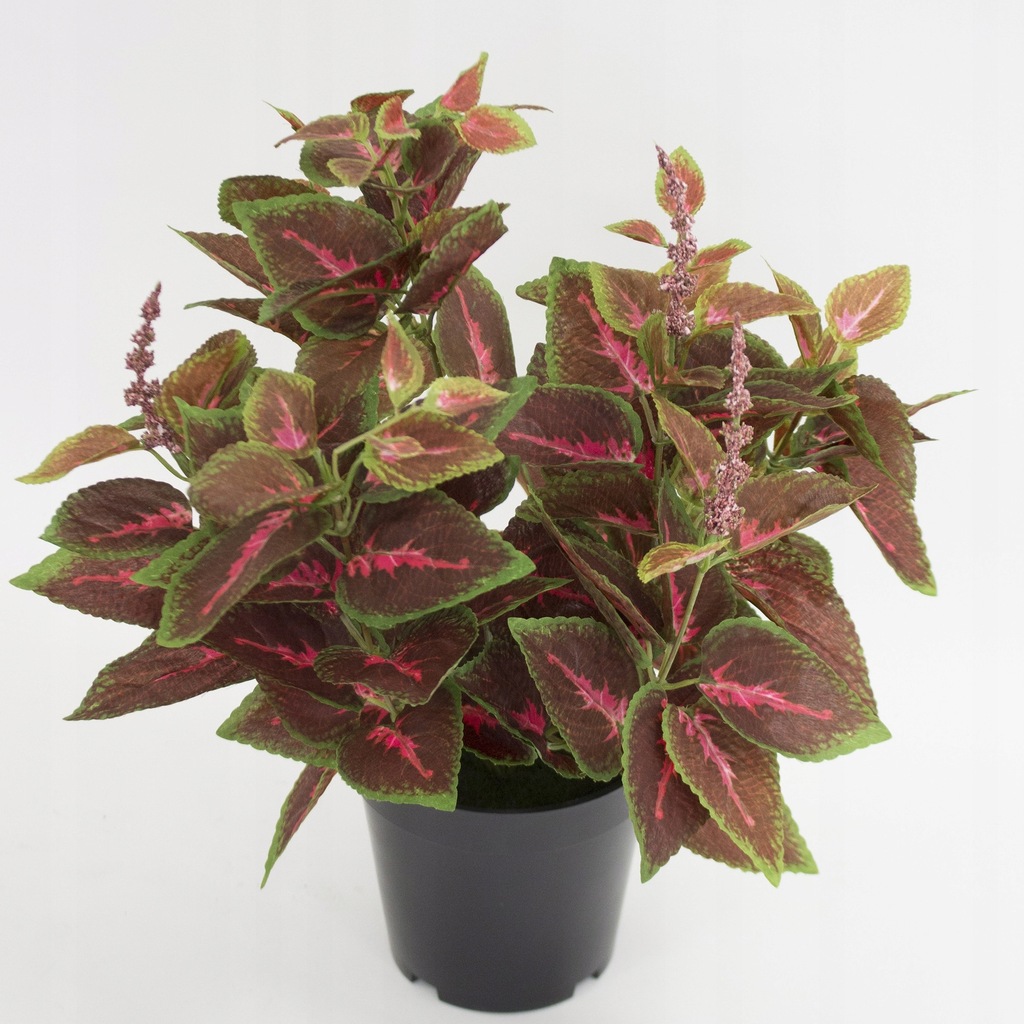 Kwiat sztuczny w doniczce pokrzywka koleus - 7502963646 ...