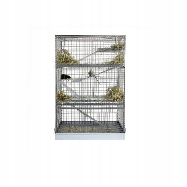 Frainforest Cages Klatka Dla Fretki 102cm