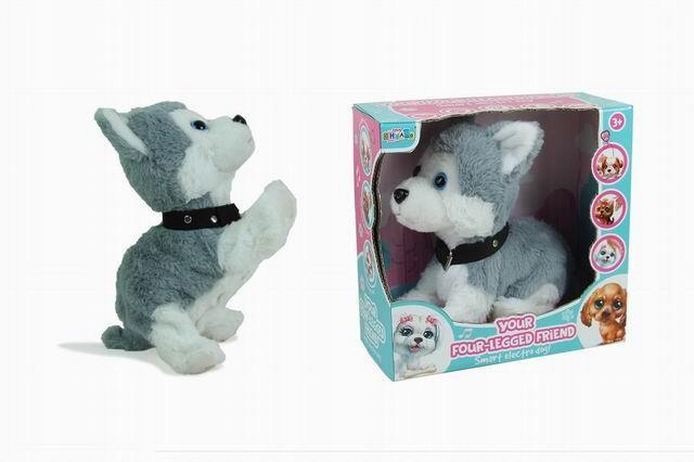 ND21_109458 Piesek sterowany glosem