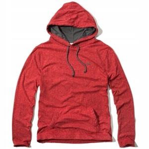 Hollister Icon Textured Lightweight Hoodie L