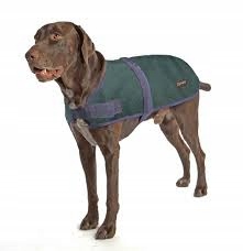 Outback Jack Dog Coat Derka Dla Psa Ocieplacz Xl 7839795031 Oficjalne Archiwum Allegro