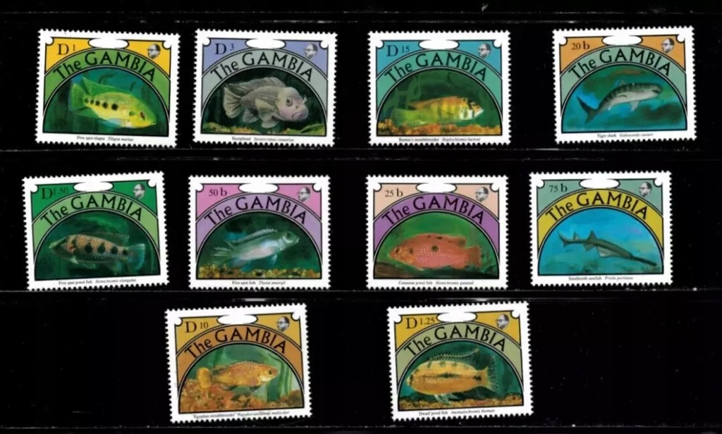 Gambia ** - ryby