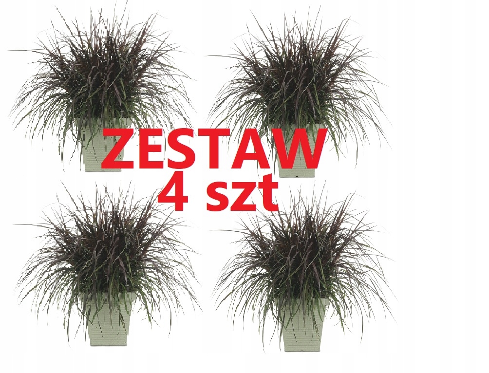 Trawa VERTIGO Rozplenica słoniowa. Zestaw 4szt