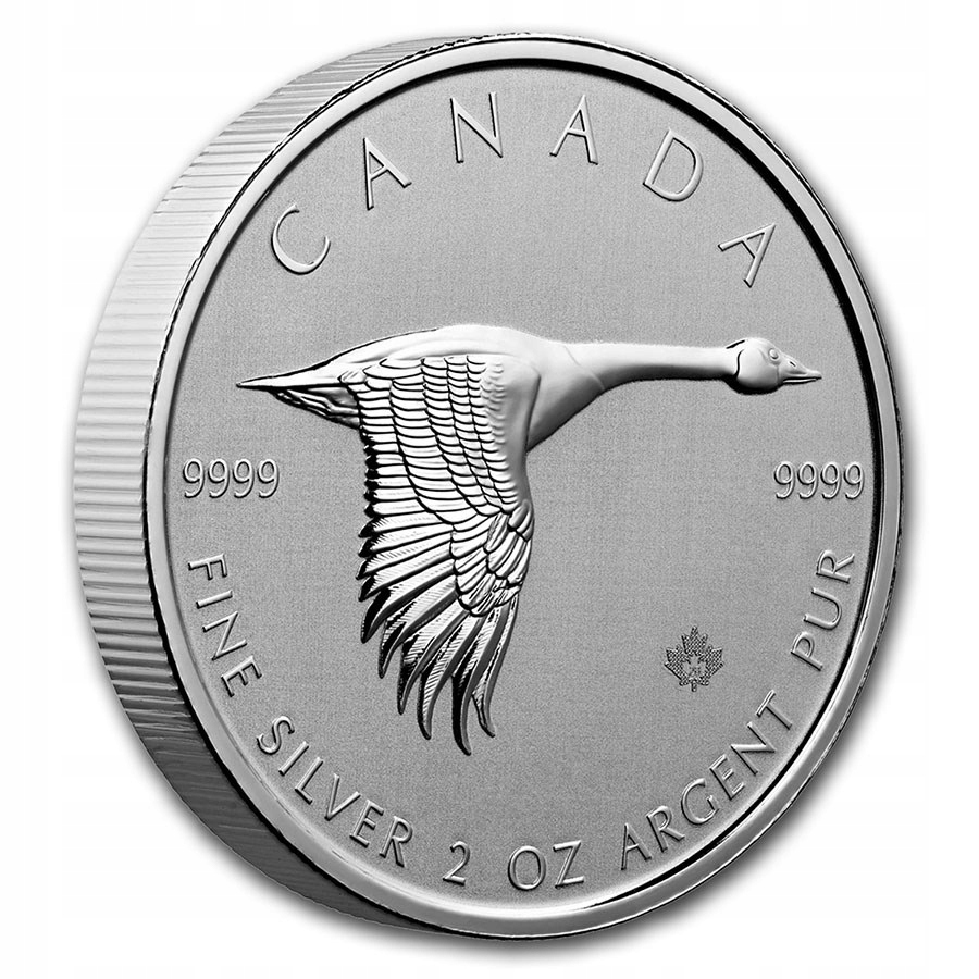 Купить Ges 2 унции 2020 $10 Канада Canada AG серебро: отзывы, фото, характеристики в интерне-магазине Aredi.ru