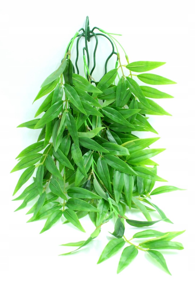 Roślina do terrarium HP FIKUS długolistny L 50cm