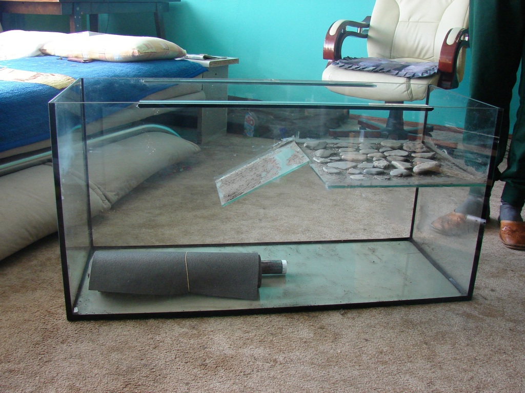 Akwarium dla żółwia i nie tylko 100x40x50 cm ŁÓDŹ