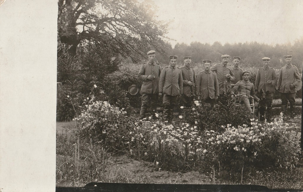 Kwiaty, żołnierze i pies - 1916