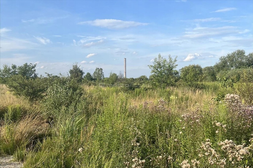 Działka, Brwinów, Brwinów (gm.), 15722 m²