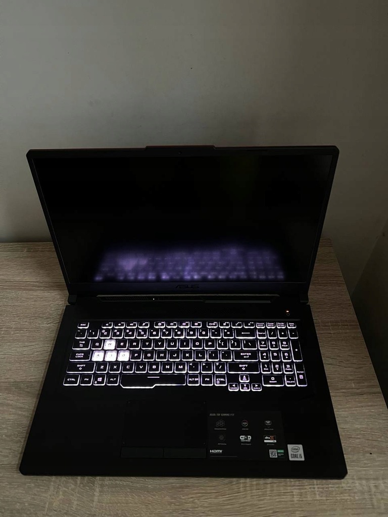 Laptop Asus FX706LI-HX204T 17,3Intel Core i5 16 GB