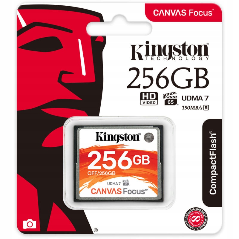 Купить KINGSTON Focus 256 ГБ CF Compact Flash, 150/130 МБ/с: отзывы, фото, характеристики в интерне-магазине Aredi.ru