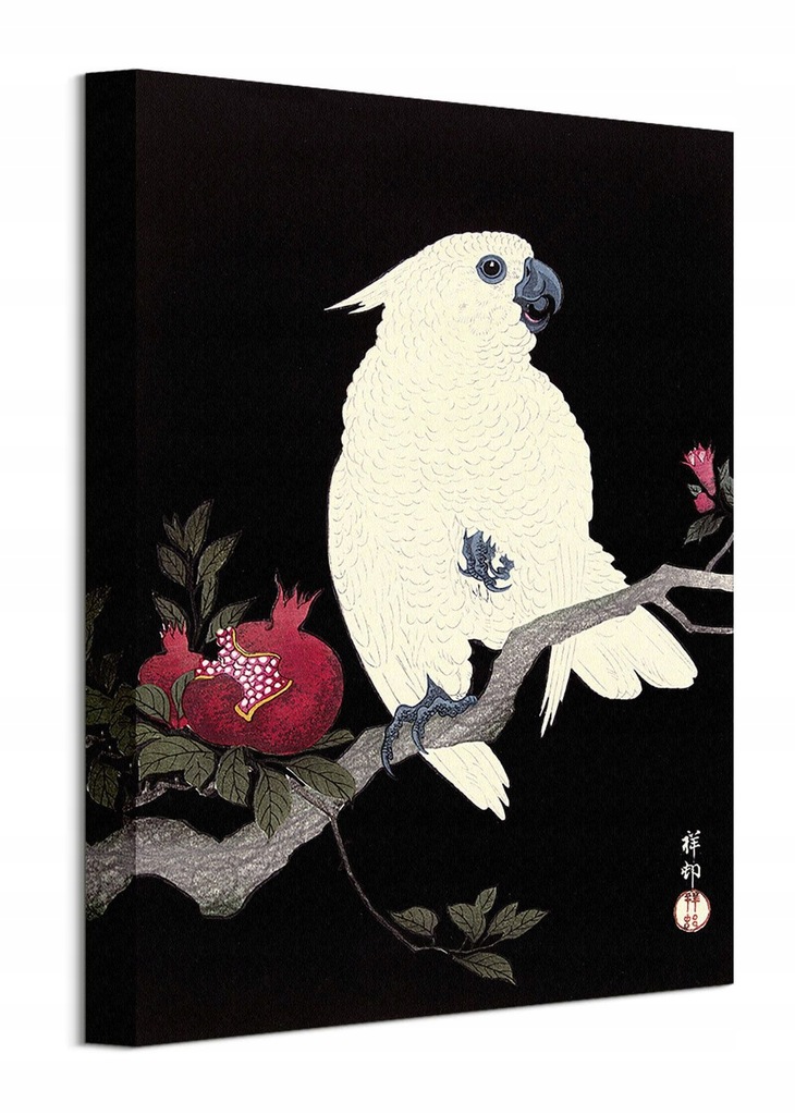 Kakadu papuga Ohara Koson obraz na płótnie 30x40cm
