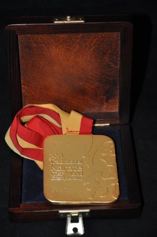 Daniel Iwanek - złoty medal w karate
