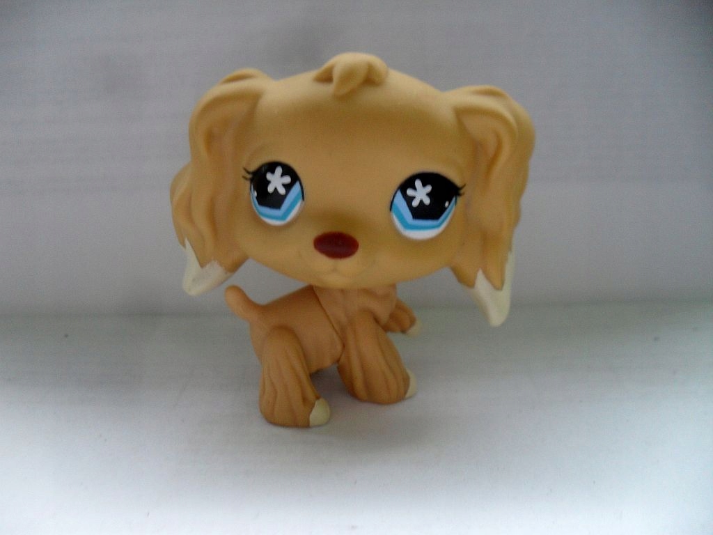 lps cocker spaniel 568