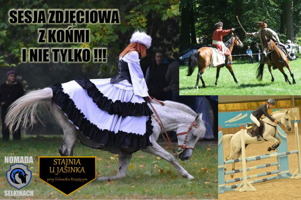 SESJA ZDJĘCIOWA Z KOŃMI NA ZAMKU I NIE TYLKO !!!!