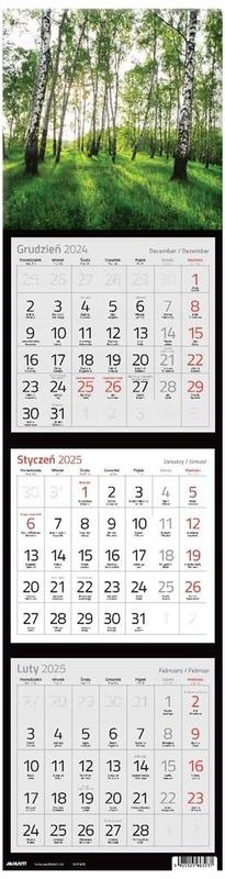 Kalendarz trójdzielny Kwadratowy Ktk 2025, Avanti