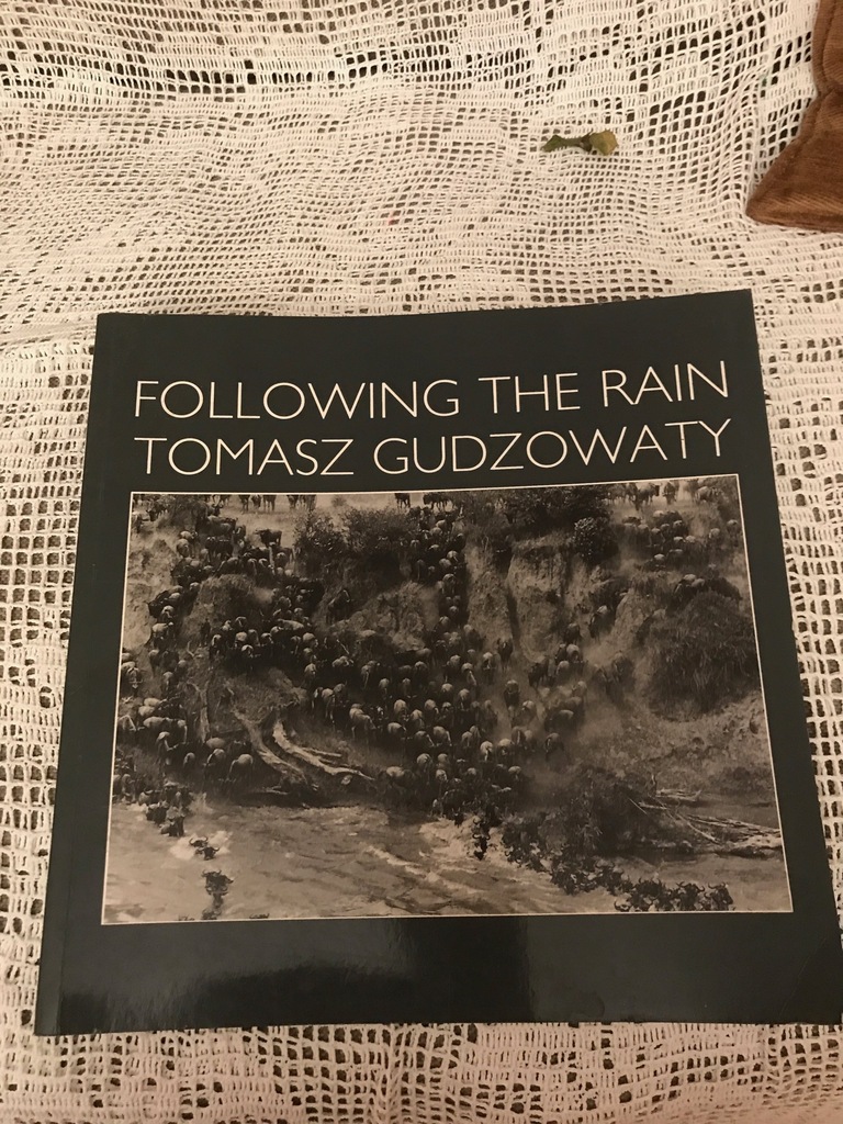 T.Gudzowaty " Following the rain"