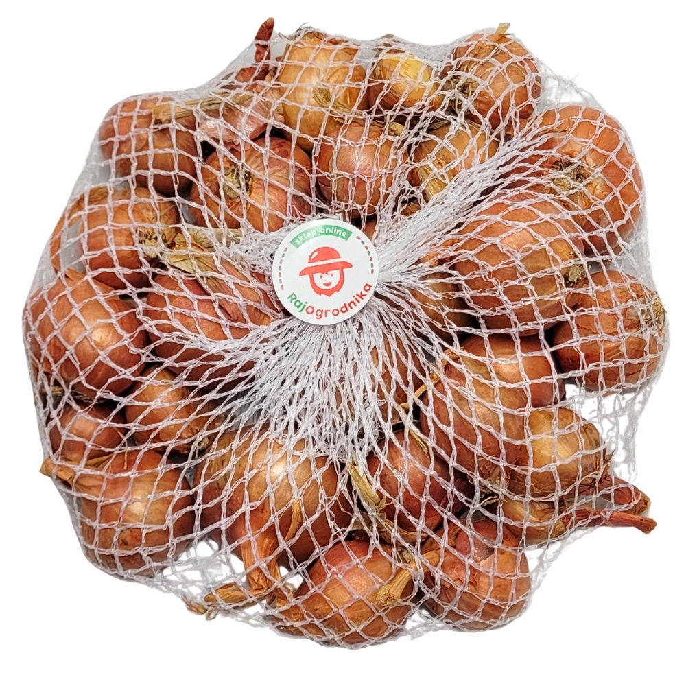 Cebula dymka Szalotka Red Sun do sadzenia okrągłe cebule WIOSNA 250g