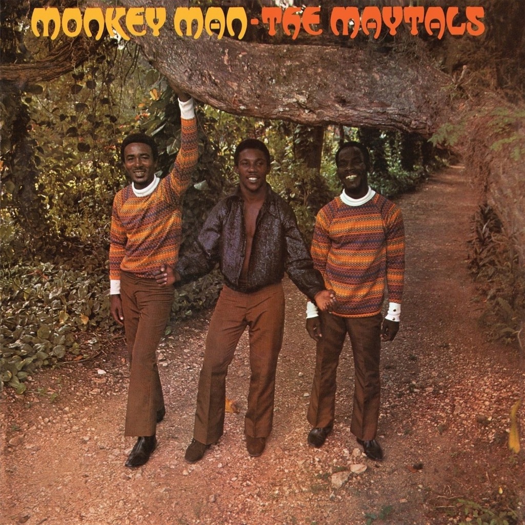 Купить Toots & The Maytals Monkey Man VINYL LP 180G: отзывы, фото, характеристики в интерне-магазине Aredi.ru