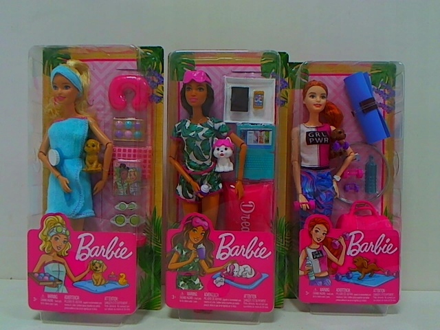 Barbie lalka Relaks asortyment GKH73 /6