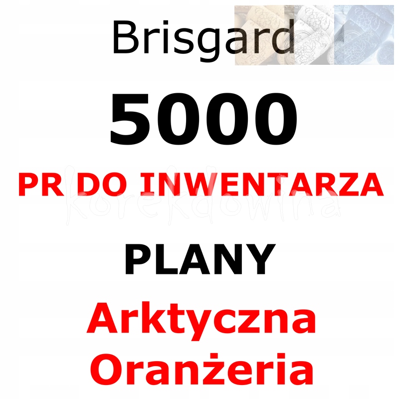 B 5000PR + PLANY ARKTYCZNA ORANŻERIA AO Brisgard FOE FORGE OF EMPIRES