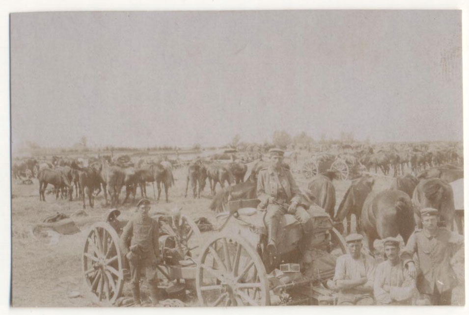 Brzeźnica Bychawska k/ Niedźwiada, Lubartów. 1915