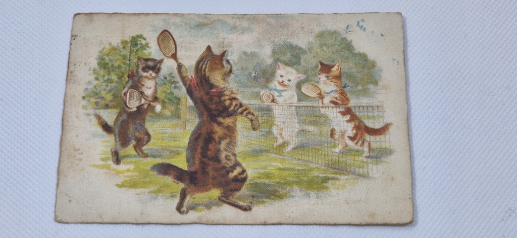 KOTY PRZEDWOJENNA POCZTÓWKA Z 1926