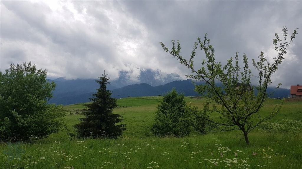 Działka, Kościelisko, Kościelisko (gm.), 1308 m²