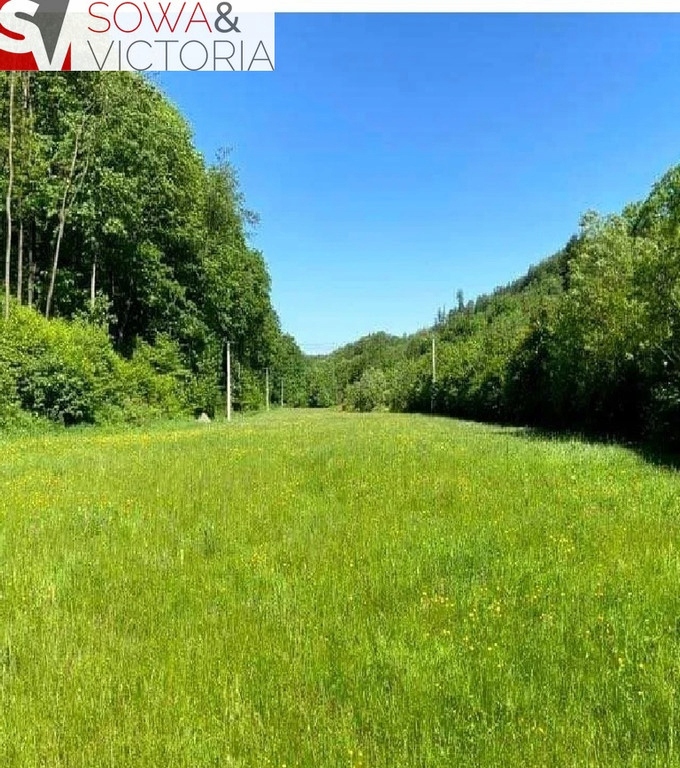 Działka, Walim, Walim (gm.), 1300 m²