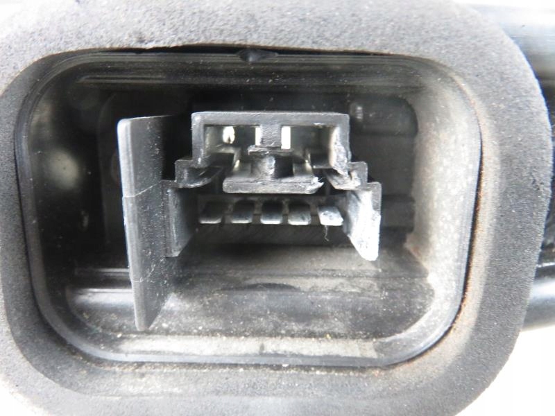 WKŁAD LAMPY LEWY TYŁ FIAT PANDA II 28029008 8247194655