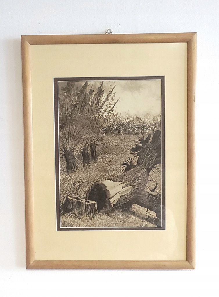 Rysunek tuszem "Uroczysko" G. Więcławski; 3382