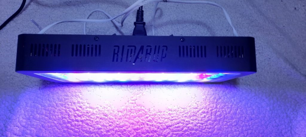 Rimarup 1200W lampa do uprawy roślin full spectrum