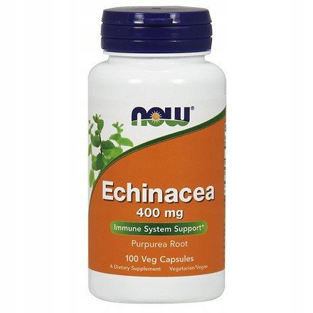 NOW Echinacea Root (Jeżówka 100 kapsułek