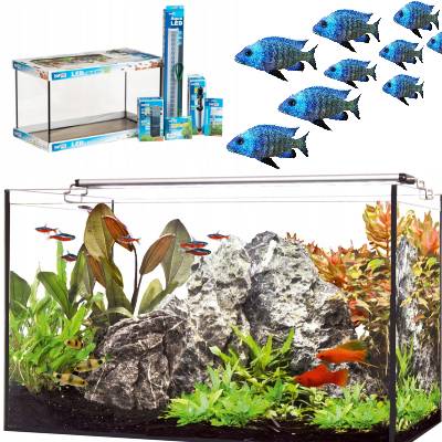 Zestaw akwarystyczny akwariowy LED akwarium dla ryb leddy 25l wyposażenie