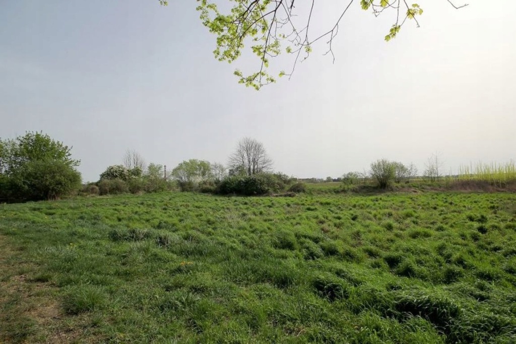 Działka, Piotrowice, 2676 m²