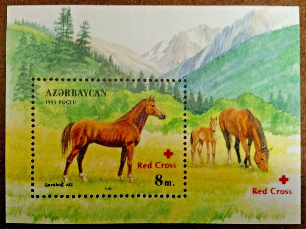 Azerbejdżan ** - konie