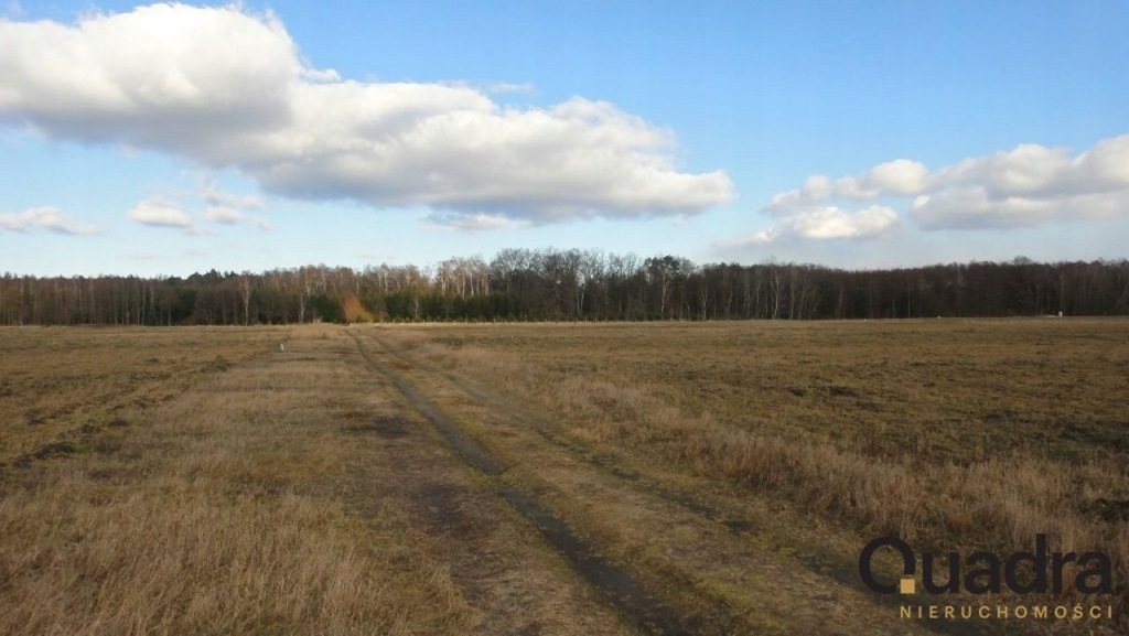 Działka, Grzepnica, 3001 m²