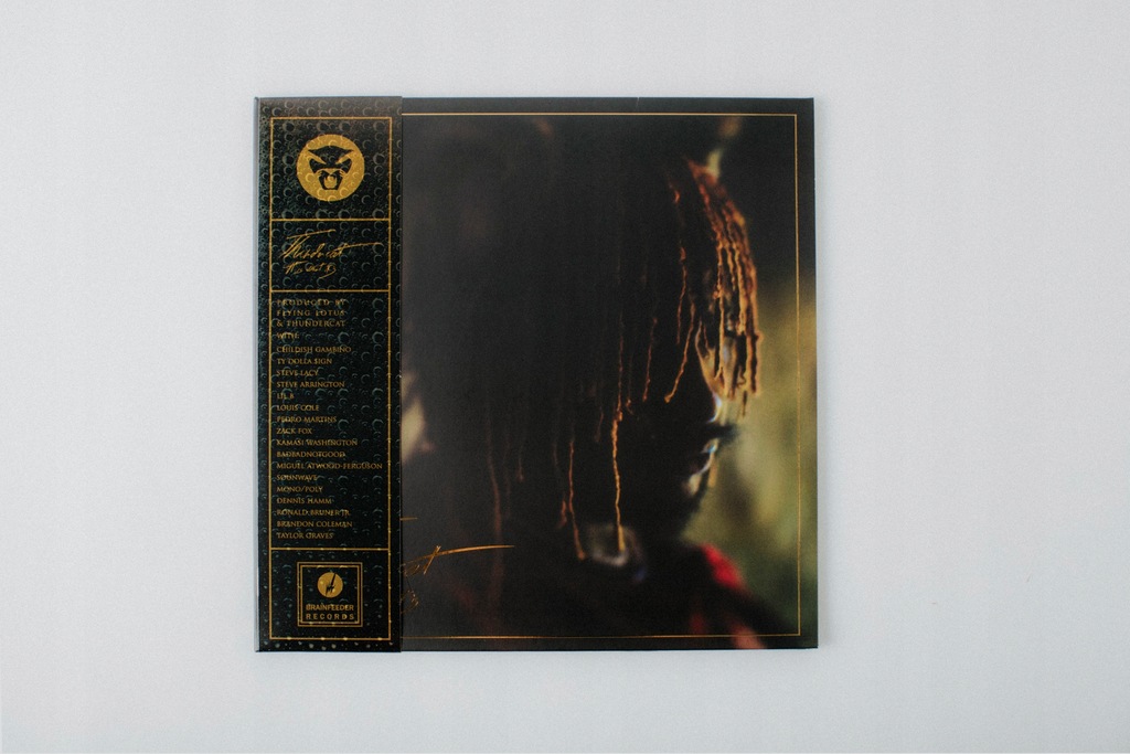 Купить Thundercat — это то, что есть, VINYL DELUXE EDITION: отзывы, фото, характеристики в интерне-магазине Aredi.ru