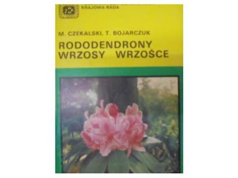 rododendrony wrzosy wrzośce - 1990 24h wys